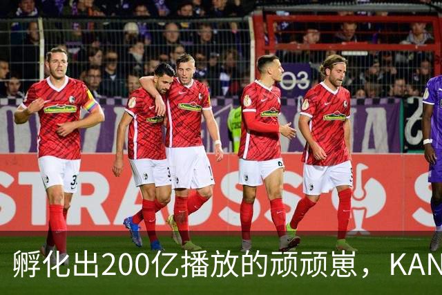 孵化出200亿播放的顽顽崽，KANOO FUN如何用东方文化重构IP生命力？｜雷报
